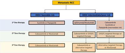 Targeting the Tumor Microenvironment in Renal Cell Cancer Biology and Therapy